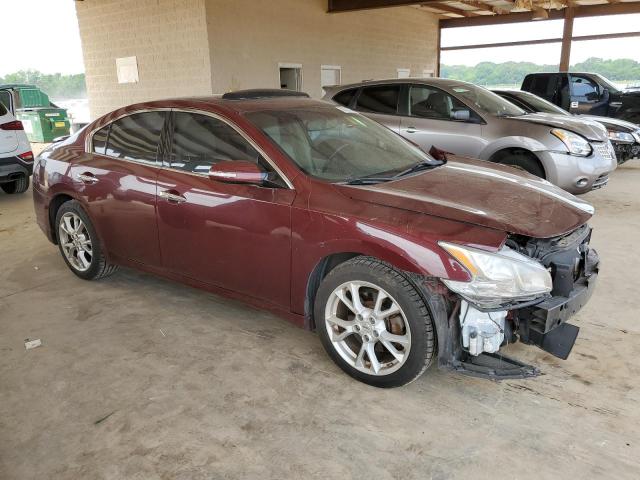 Photo 3 VIN: 1N4AA5APXDC846592 - NISSAN MAXIMA 