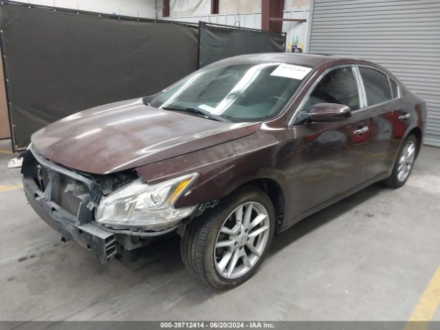 Photo 1 VIN: 1N4AA5APXEC453645 - NISSAN MAXIMA 