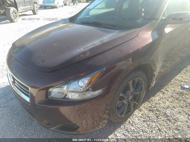 Photo 1 VIN: 1N4AA5APXEC456075 - NISSAN MAXIMA 