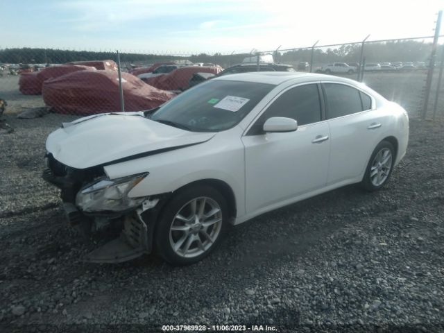 Photo 1 VIN: 1N4AA5APXEC456528 - NISSAN MAXIMA 