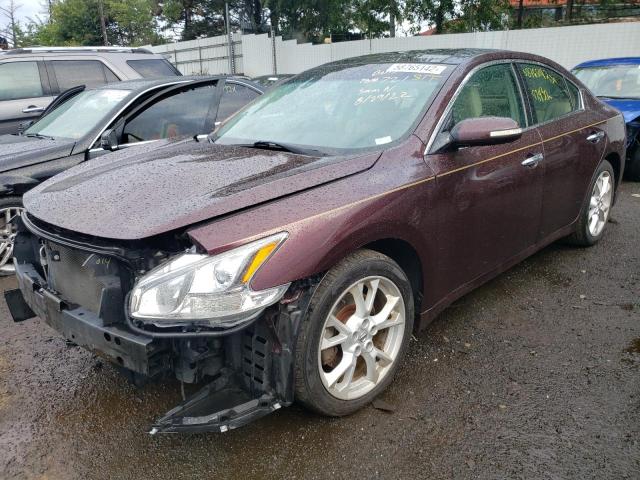 Photo 1 VIN: 1N4AA5APXEC466086 - NISSAN MAXIMA 