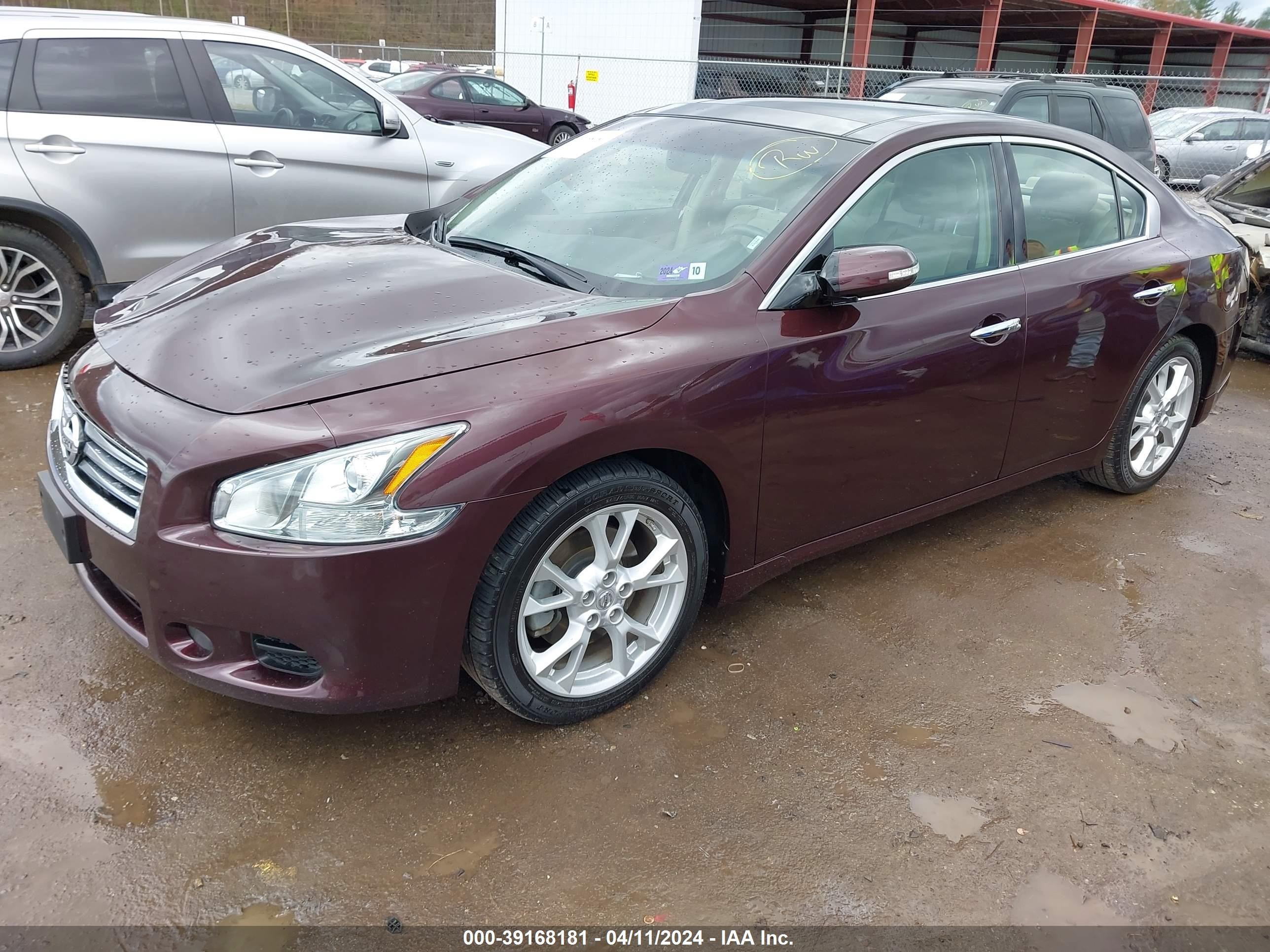 Photo 1 VIN: 1N4AA5APXEC469781 - NISSAN MAXIMA 