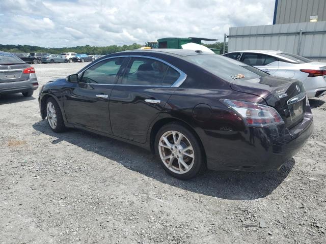 Photo 1 VIN: 1N4AA5APXEC485785 - NISSAN MAXIMA 