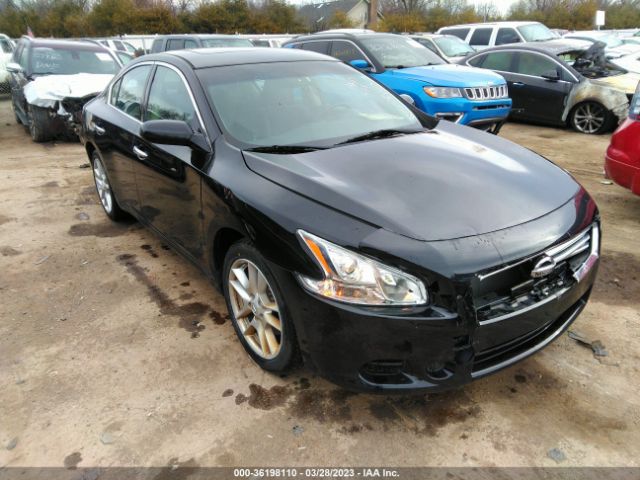 Photo 0 VIN: 1N4AA5APXEC489660 - NISSAN MAXIMA 