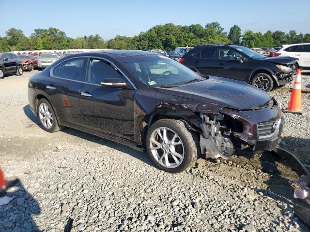 Photo 3 VIN: 1N4AA5APXEC490274 - NISSAN MAXIMA 