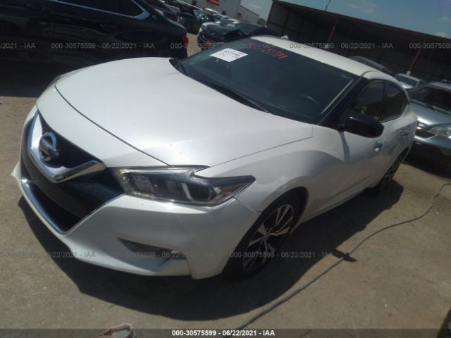 Photo 1 VIN: 1N4AA6AP0GC378270 - NISSAN MAXIMA 