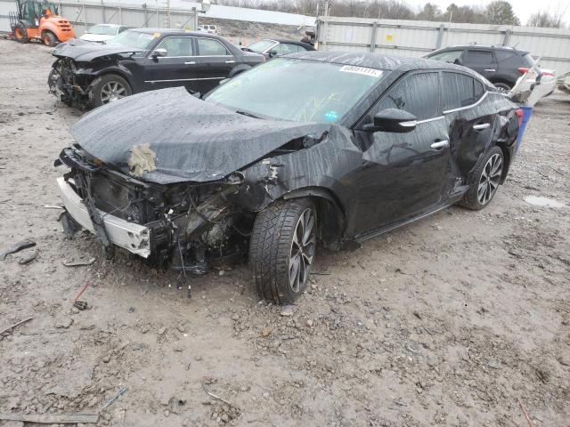 Photo 1 VIN: 1N4AA6AP0GC380102 - NISSAN MAXIMA 3.5 