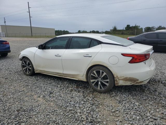 Photo 1 VIN: 1N4AA6AP0GC394601 - NISSAN MAXIMA 