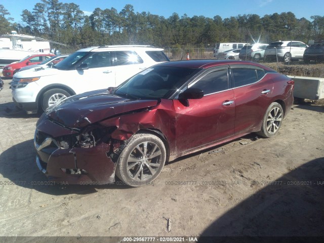 Photo 1 VIN: 1N4AA6AP0GC401644 - NISSAN MAXIMA 