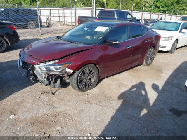 Photo 1 VIN: 1N4AA6AP0GC402812 - NISSAN MAXIMA 