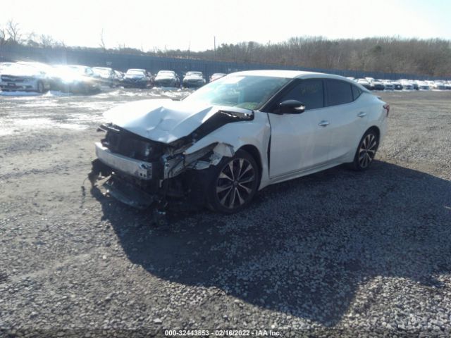 Photo 1 VIN: 1N4AA6AP0GC420890 - NISSAN MAXIMA 