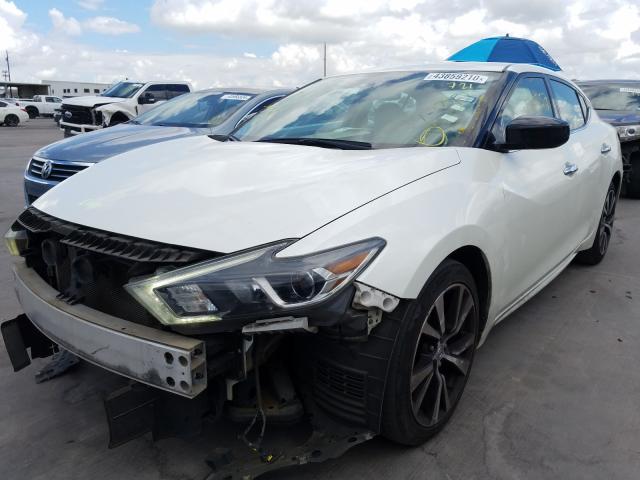 Photo 1 VIN: 1N4AA6AP0GC432876 - NISSAN MAXIMA 3.5 