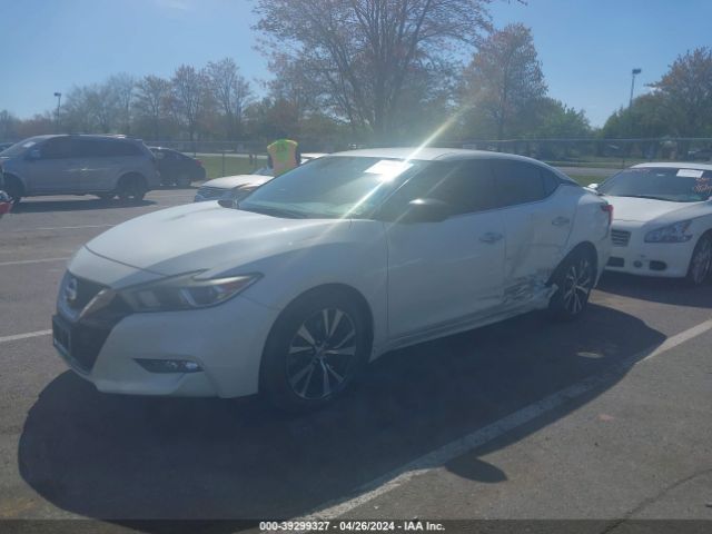 Photo 1 VIN: 1N4AA6AP0GC442629 - NISSAN MAXIMA 