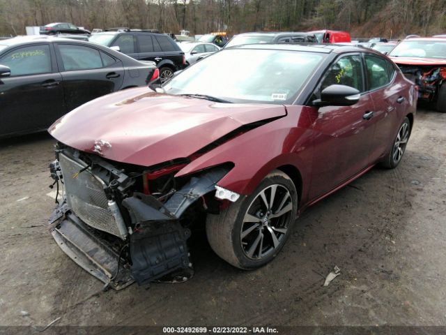 Photo 1 VIN: 1N4AA6AP0GC901299 - NISSAN MAXIMA 