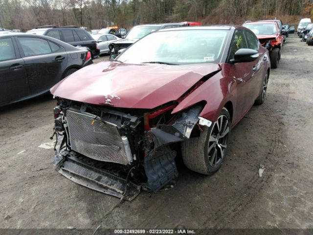 Photo 5 VIN: 1N4AA6AP0GC901299 - NISSAN MAXIMA 