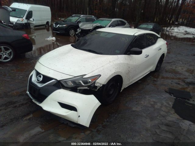 Photo 1 VIN: 1N4AA6AP0GC903876 - NISSAN MAXIMA 