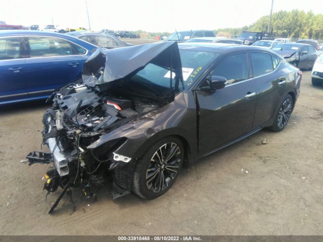 Photo 1 VIN: 1N4AA6AP0GC904185 - NISSAN MAXIMA 