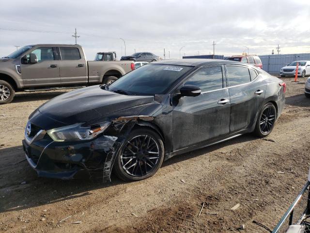 Photo 0 VIN: 1N4AA6AP0HC365567 - NISSAN MAXIMA 