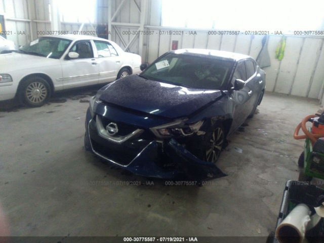 Photo 1 VIN: 1N4AA6AP0HC365651 - NISSAN MAXIMA 