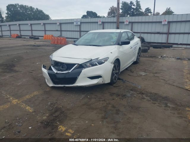 Photo 1 VIN: 1N4AA6AP0HC369912 - NISSAN MAXIMA 