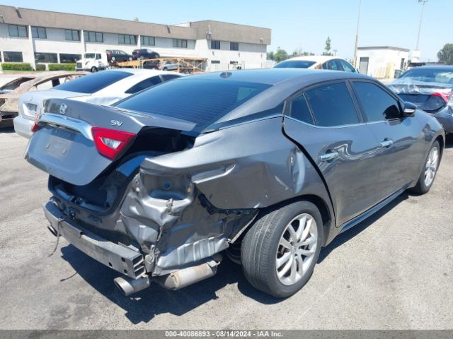 Photo 3 VIN: 1N4AA6AP0HC370204 - NISSAN MAXIMA 