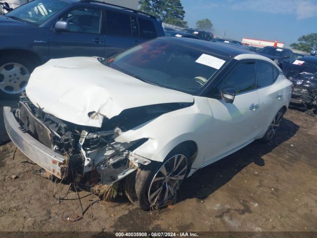 Photo 1 VIN: 1N4AA6AP0HC384846 - NISSAN MAXIMA 