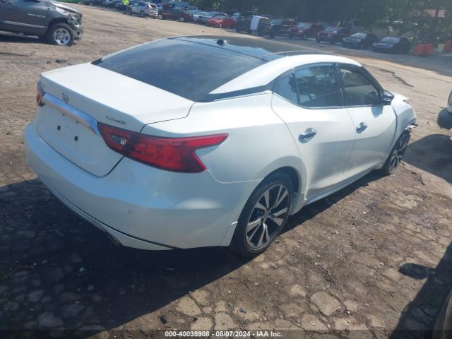 Photo 3 VIN: 1N4AA6AP0HC384846 - NISSAN MAXIMA 