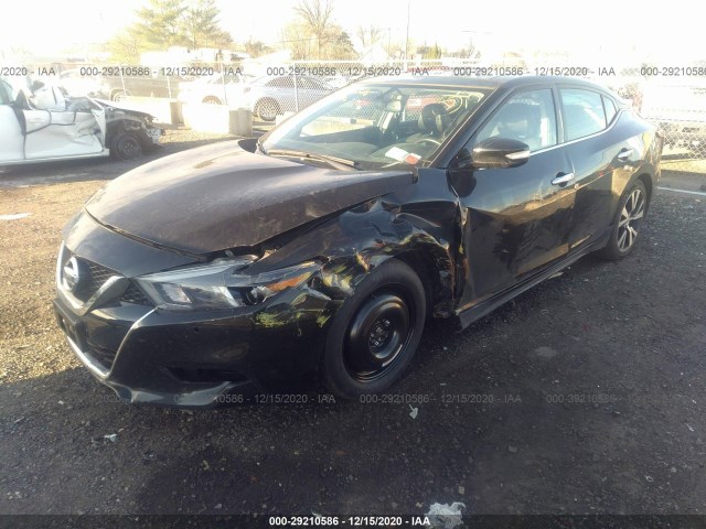 Photo 5 VIN: 1N4AA6AP0HC437285 - NISSAN MAXIMA 