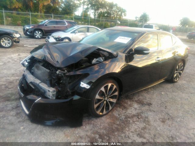 Photo 1 VIN: 1N4AA6AP0JC362884 - NISSAN MAXIMA 