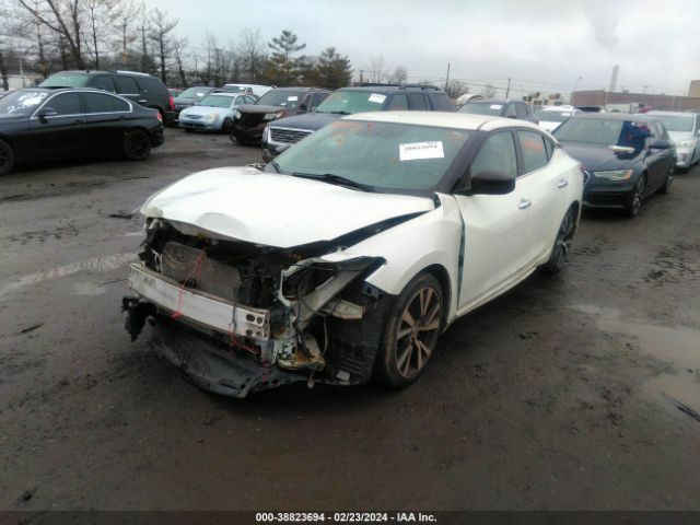 Photo 1 VIN: 1N4AA6AP0JC373139 - NISSAN MAXIMA 