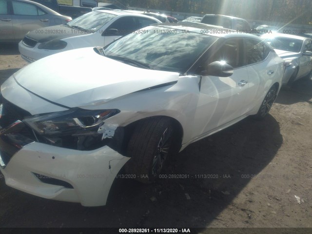 Photo 1 VIN: 1N4AA6AP0JC389065 - NISSAN MAXIMA 