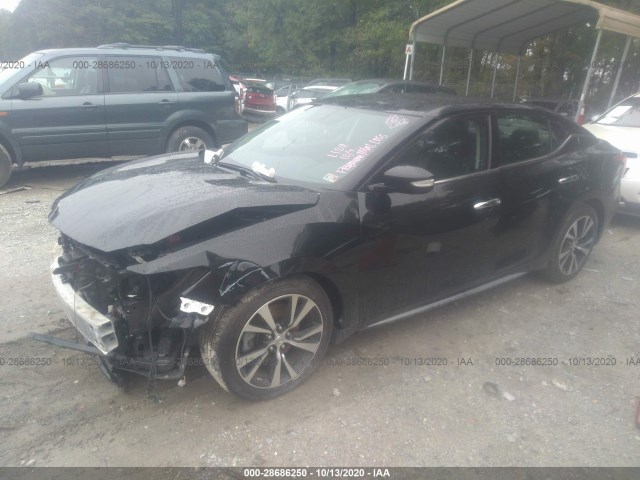 Photo 1 VIN: 1N4AA6AP0JC400890 - NISSAN MAXIMA 