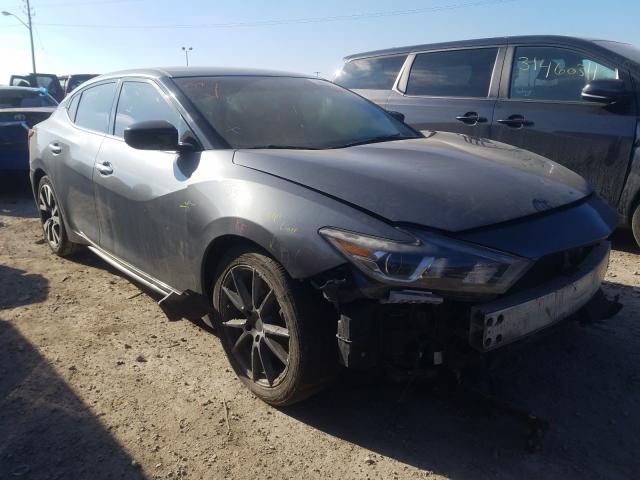 Photo 0 VIN: 1N4AA6AP1GC421935 - NISSAN MAXIMA 3.5 