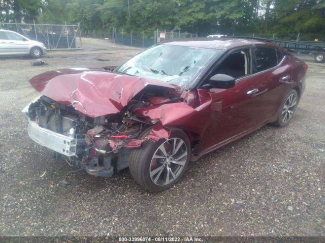 Photo 1 VIN: 1N4AA6AP1GC431557 - NISSAN MAXIMA 