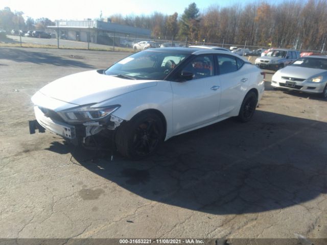 Photo 1 VIN: 1N4AA6AP1GC436449 - NISSAN MAXIMA 