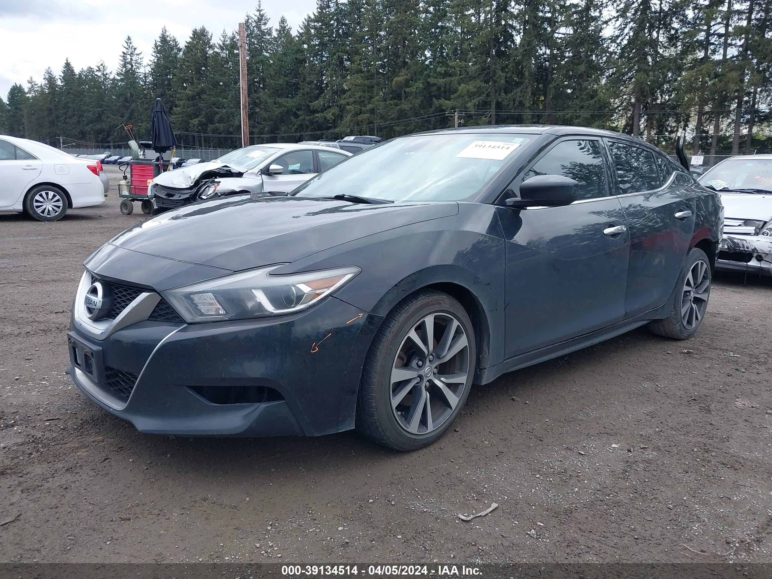 Photo 1 VIN: 1N4AA6AP1GC447421 - NISSAN MAXIMA 