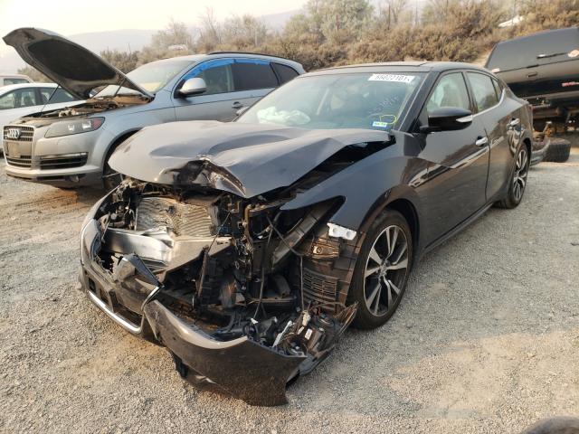 Photo 1 VIN: 1N4AA6AP1GC903479 - NISSAN MAXIMA 3.5 