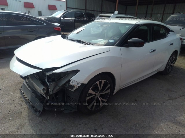 Photo 1 VIN: 1N4AA6AP1GC904129 - NISSAN MAXIMA 