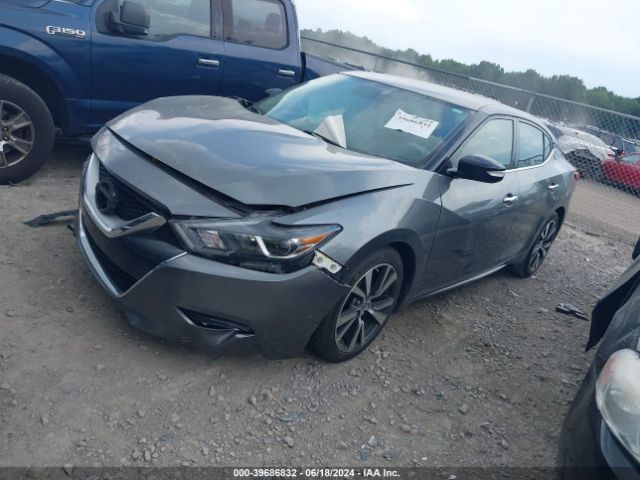 Photo 1 VIN: 1N4AA6AP1HC363293 - NISSAN MAXIMA 