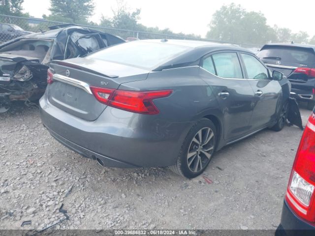 Photo 3 VIN: 1N4AA6AP1HC363293 - NISSAN MAXIMA 