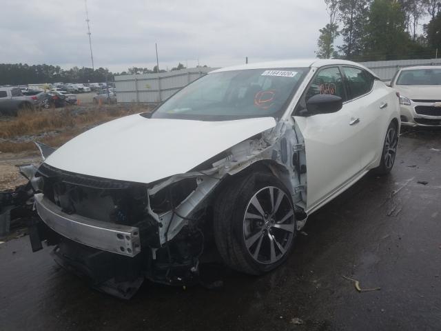 Photo 1 VIN: 1N4AA6AP1HC365433 - NISSAN MAXIMA 3.5 