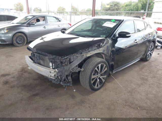 Photo 1 VIN: 1N4AA6AP1HC369465 - NISSAN MAXIMA 