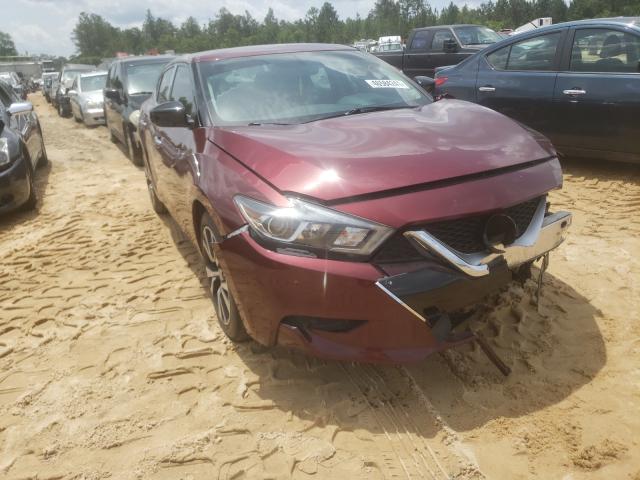 Photo 0 VIN: 1N4AA6AP1HC370924 - NISSAN MAXIMA 3.5 