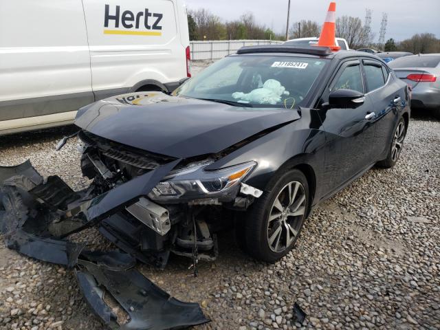 Photo 1 VIN: 1N4AA6AP1HC434184 - NISSAN MAXIMA 3.5 