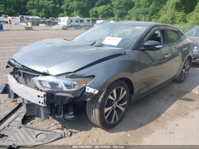 Photo 1 VIN: 1N4AA6AP1HC442415 - NISSAN MAXIMA 