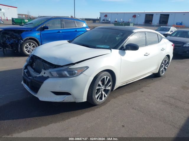 Photo 1 VIN: 1N4AA6AP1JC372758 - NISSAN MAXIMA 