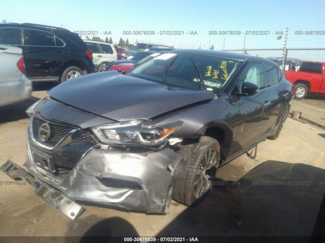 Photo 1 VIN: 1N4AA6AP1JC380276 - NISSAN MAXIMA 