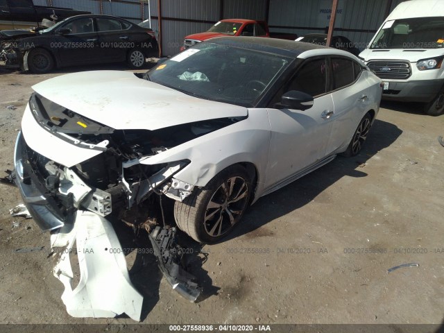 Photo 1 VIN: 1N4AA6AP1JC400574 - NISSAN MAXIMA 