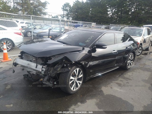 Photo 1 VIN: 1N4AA6AP1JC402714 - NISSAN MAXIMA 