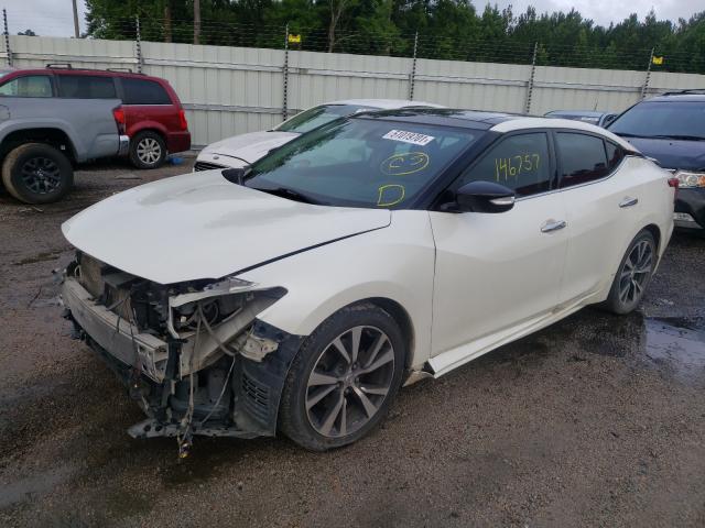 Photo 1 VIN: 1N4AA6AP2GC379162 - NISSAN MAXIMA 3.5 